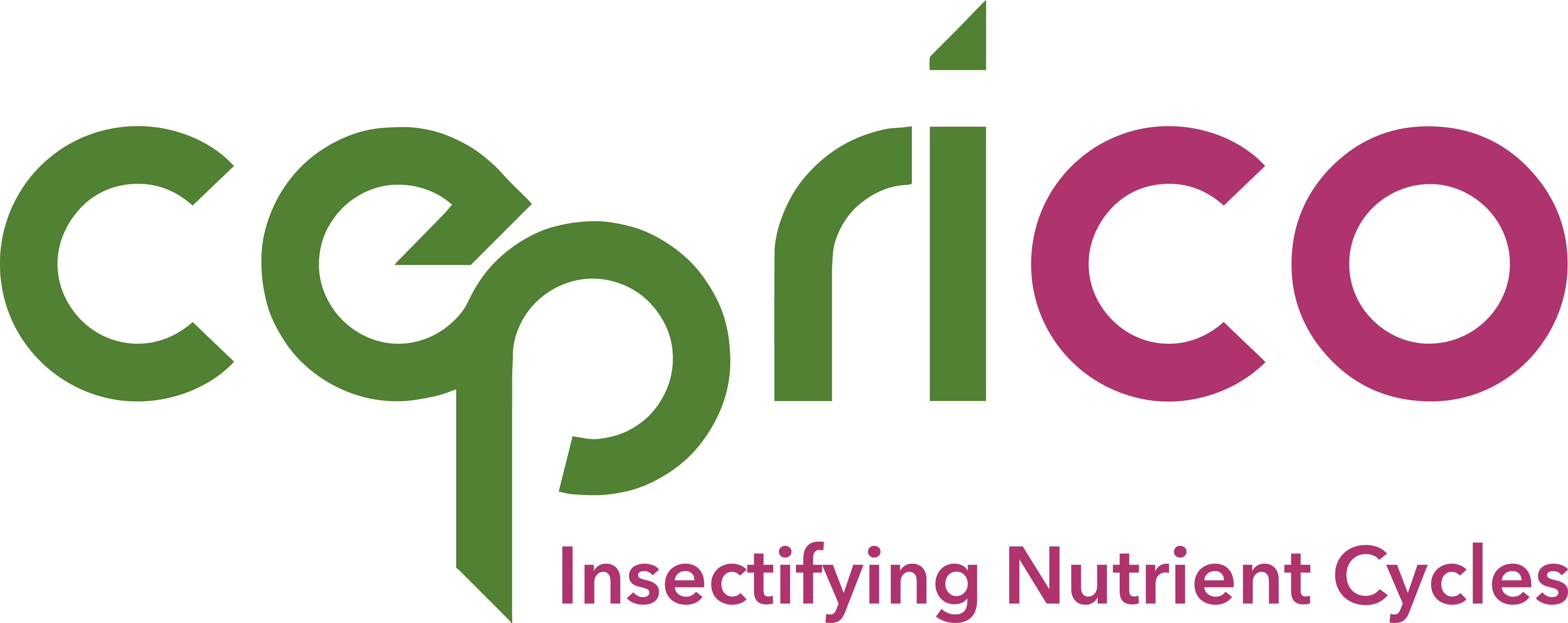 insectifying nutrient cycles